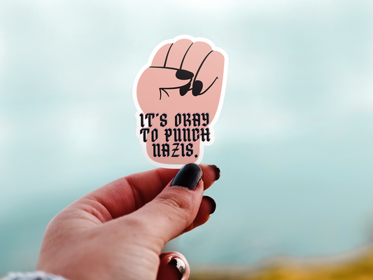 It's Ok To Punch N*zis